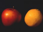 ....apple & lemon.... ....apple & lemon....