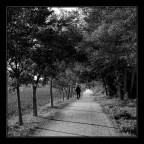 la strada ... 2 la strada ... 2