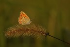 Colori autunnali