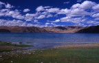 pangong tso pangong tso