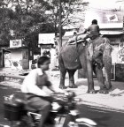 Ad ognuno il suo... Ad ognuno il suo...