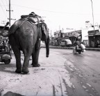 chi va piano va sano e... chi va piano va sano e...
