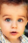 Edo Edo