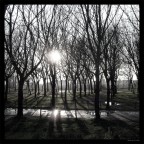 ... (dedicata a Belgarath) ... (dedicata a Belgarath)