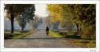 verso casa