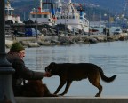 Porto di La Spezia in inverno.
Lumix DMC FZ30, f/6.3, 1/500 sec, ISO 100, lungh. foc. 250 mm equiv.; 23 febbraio 2006 ore 14:01