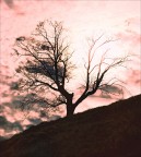 Attimo di pace Attimo di pace