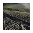 the color of the earth 11 the color of the earth 11