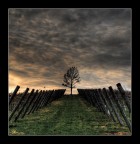 Geometrie rurali Geometrie rurali