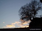 Un albero solitario aggrappato alla nuda roccia

Foto scattata con compatta Olymps Stylus Verve