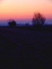 alba nei campi alba nei campi