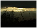 Come un ultimo respiro, come un colpo di coda della luce contro le nubi che tentavano di soffocarla, come un sussurro prima del buio...

La foto  scattata ad Alba Fucens... straordinario insediamento risalente ai tempi dell'antica Roma... mi stringe il cuore vedere la poca cura che gli amministratori hanno dedicato a questo gioiello... un giorno ci torner e vi mostrer qualcosa di (spero) bello da l!

p.s. stavolta il PW  poco o nulla