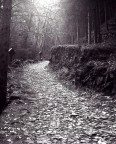Il cammino della fede Il cammino della fede