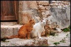 Due Sguardi Attenti Due Sguardi Attenti