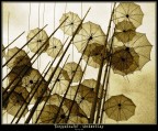 Umbrellas Umbrellas