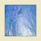 Grafismi Zen Grafismi Zen