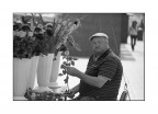 Il Fioraio Il Fioraio