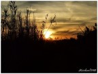 Tramonto sul canneto Tramonto sul canneto