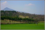 Campagna rivolese