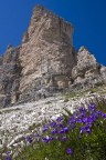 Deicata a Marranza, a tutti, a pensieri di pace.
A chi sotto le splendide Tre Cime ha visto guerra, sofferenza, paura e morte. 
A chi a casa aspettava un segno, un ritorno.......