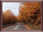 Autunno Autunno