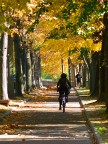 Autunno alle Piagge Autunno alle Piagge