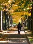 Pisa, la pista ciclopedonale che fiancheggia il Viale delle Piagge.
Lumix DMC FZ50, f/4, 1/160 sec, ISO 100, lungh. foc. 420 mm equiv.; 2 novembre 2007 ore 12:38