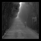 Il viale dell'addio Il viale dell'addio