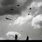 Volano le ali Volano le ali