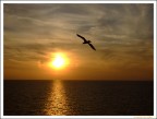 In volo In volo