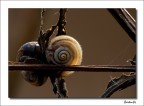 Collezione autunno/inverno... Collezione autunno/inverno...