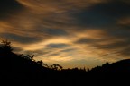 Alba