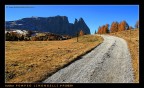 continuo nel mio reportage sull'alpe di Siusi...