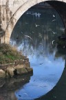 Roma fiume Tevere