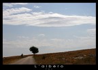 L'albero L'albero