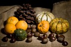 Frutti autunnali Frutti autunnali