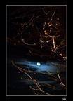 Luna Autunnale Luna Autunnale