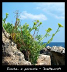 ..Esisto..e Persisto.. ..Esisto..e Persisto..