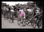Maglia rosa Maglia rosa