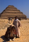 Cammelliere egiziano Cammelliere egiziano
