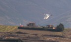 airone bianco