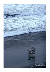 Mare d' inverno Mare d' inverno