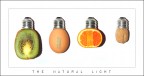 :: LUCE ::