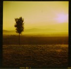 agfa click 1960 agfa click 1960