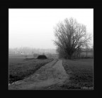 Finalmente fuori dalla metropoli Finalmente fuori dalla metropoli