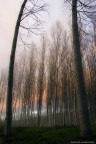 atmosphera4 atmosphera4