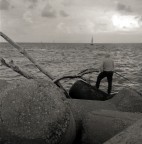 Povere biottiche maltrattate (ed annacquate) da un cielo min Povere biottiche maltrattate (ed annacquate) da un cielo min