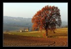 Sole e nebbia sulle colline