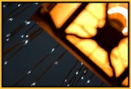Luci Luci