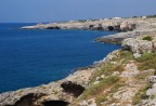 Leuca